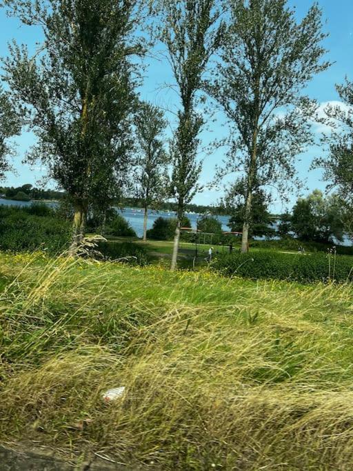 Beautiful 4bh With Study - 8' Walk To Lake- Ideal For Contractors, Business And Family! Holiday home *